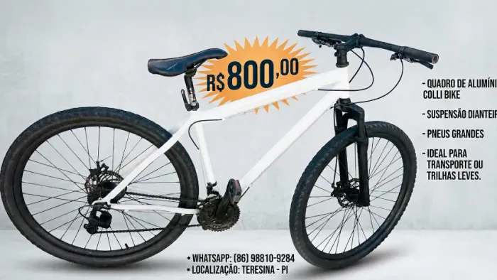 Bicicleta 