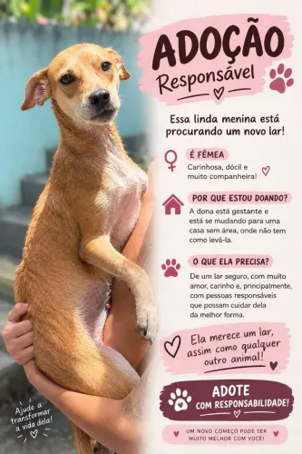 Doação