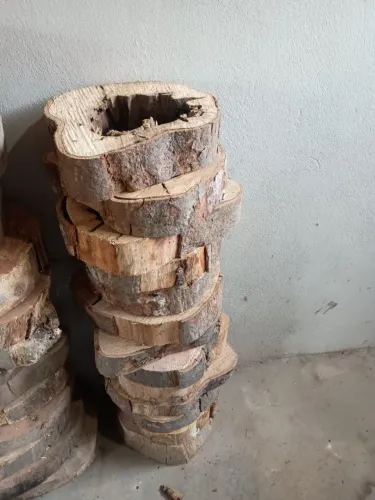 Madeiras ocas de canela