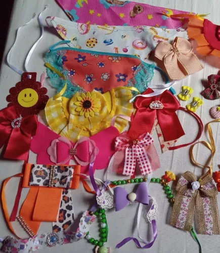 Kit para pet - (Babadores e lacinhos) Mogi