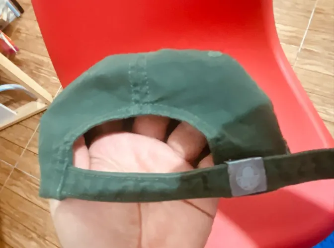 Palmeiras Dad Hat 