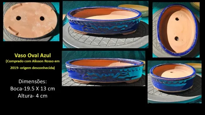 Vaso Oval Bonsai Cerâmico