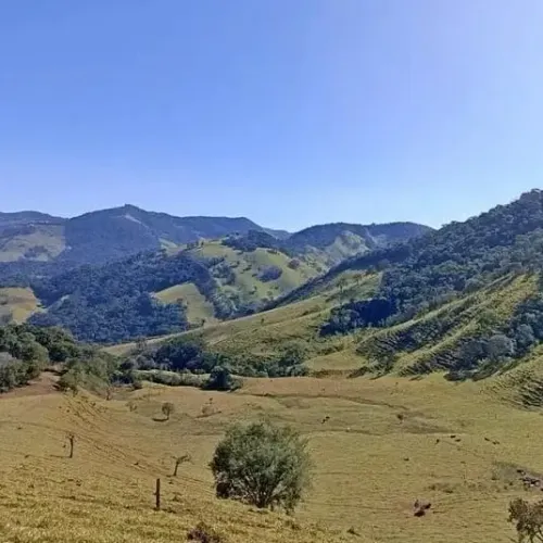 Bela Fazenda de 72 Hectares com Nascente Perene e Acesso Facilitado, Delfim Moreira/MG