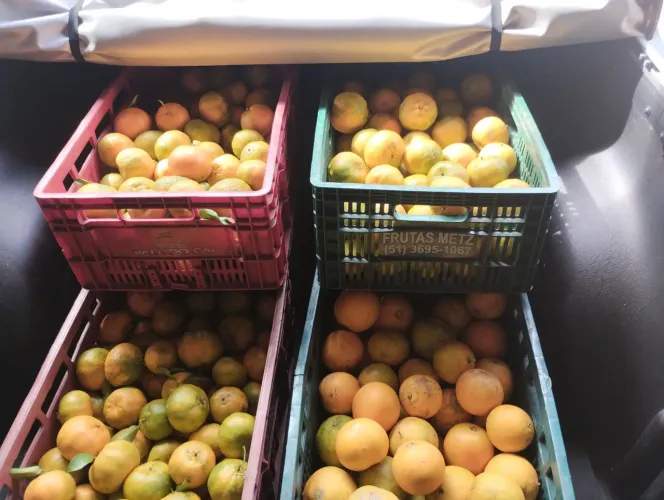 Laranja e vergamota