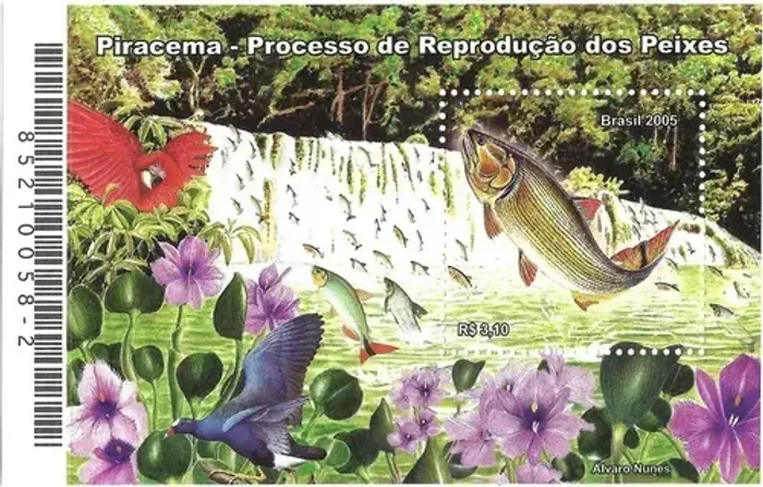 LINDO BLOCO SELO BRASIL 2005 - PIRACEMA
