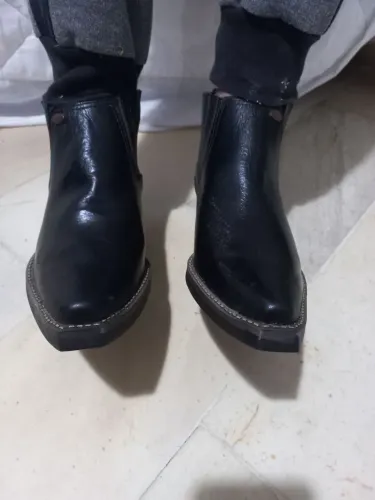 Bota