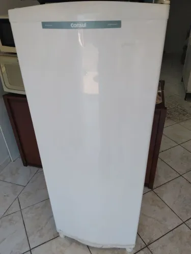 Geladeira 300 lts degelo seco