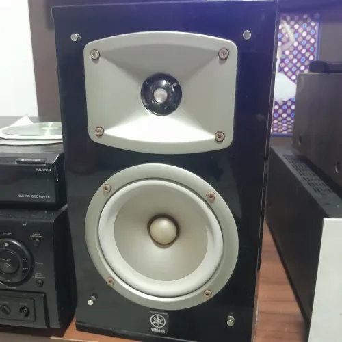 Caixas yamaha ns c333