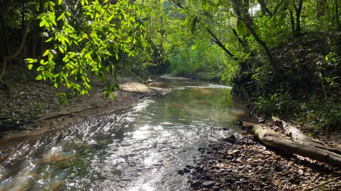 Chácara com rancho e córrego no fundo com 50mil apenas de entrada!