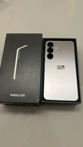 Samsung Galaxy S25