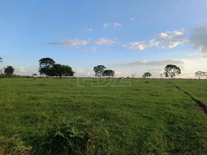 Área rural à venda 33.000,00 m2