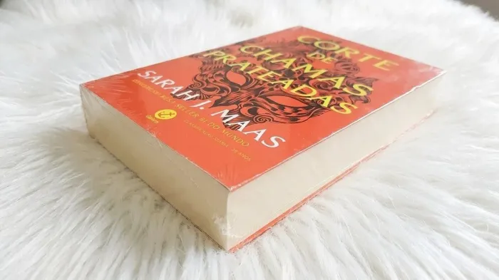 Livro - Corte de Chamas Prateadas