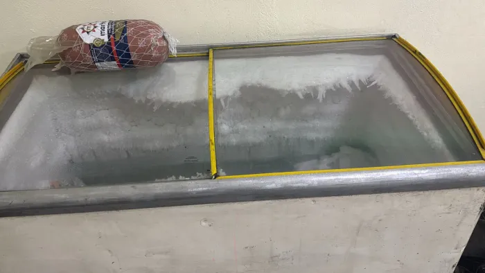 Freezer 110v