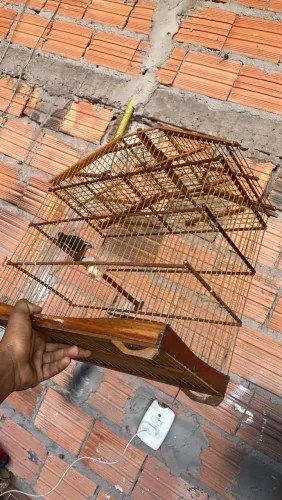 Gaiola