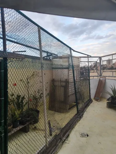 Portão de ferro
