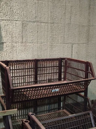 Cesta Organizadora Plástico