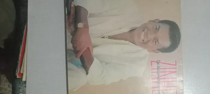 Disco de vinil