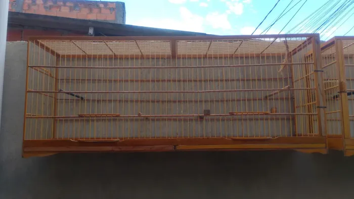 Voador de mexida de trinca o par