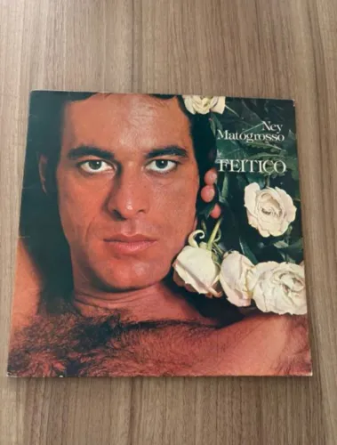Vinil feitiço ney matogrosso