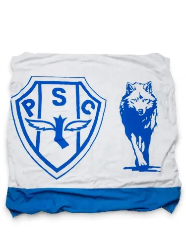 Bandeira Paysandu 