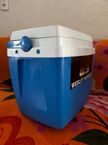 Cooler 36L Wesley Safadão 