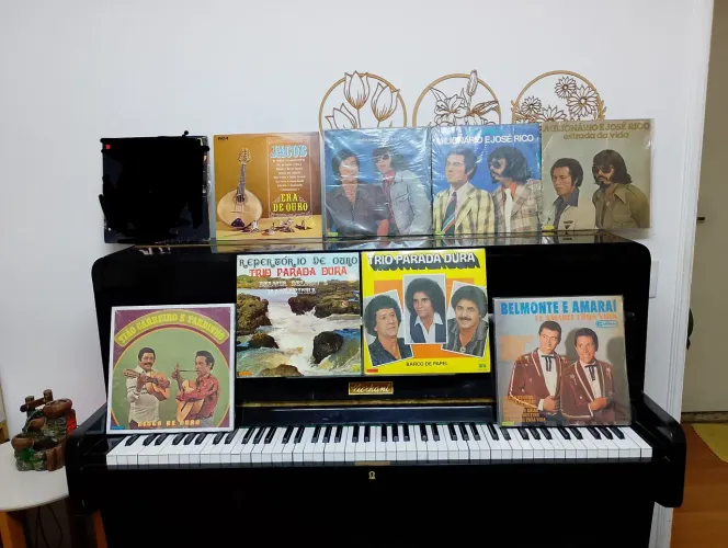 Vinil