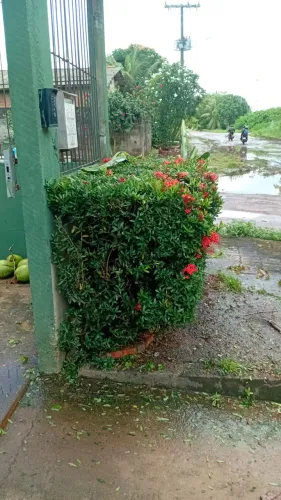 Faço rocagens 