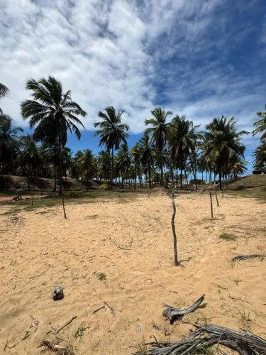 Terreno no Pontal do Peba | Vista para o mar e a 100m da praia