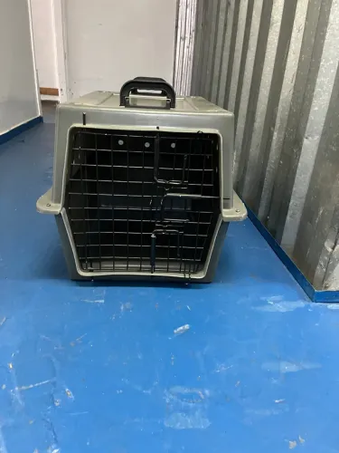 Caixa de transporte para animais