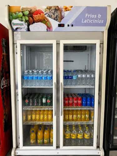 Expositor Refrigerado Termisa 2 Portas