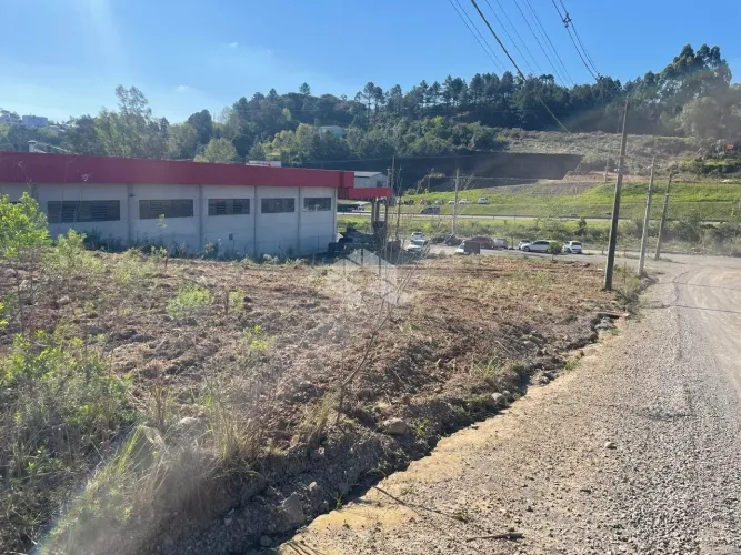 Terreno 1.289 metros bairro Vicentina Farroupilha RS