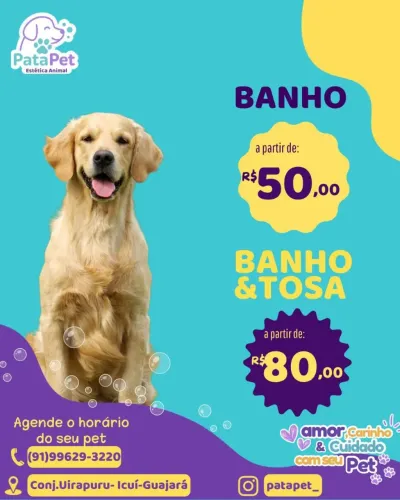 Banho e tosa