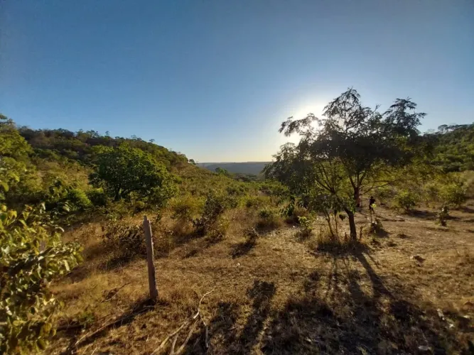 Vendo fazenda 36 Alqueires perto de Palmas