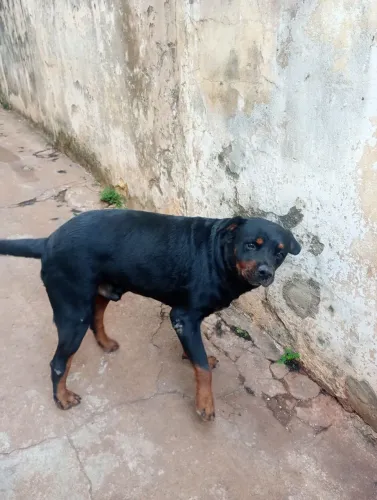 Caos pra segurança