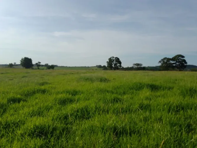 Sítio 16,5 Alqueires, Rico em Água com Corrego, 13 Alqueires em Área Para Plantio, Boa Top