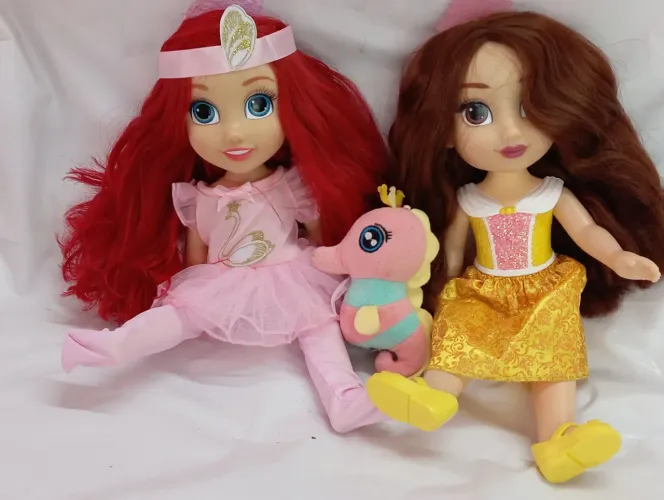 Lote Boneca princesa Disney (15