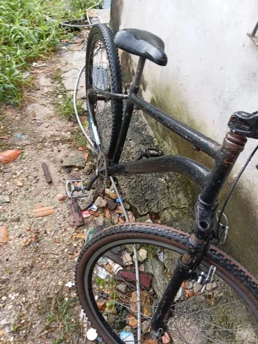 Bicicleta