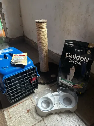 Kit Completo para Gato - Caixa de Transporte, Comedouro, Arranhador e Ração Golden 3 k