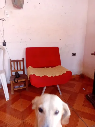 Poltrona cadeira