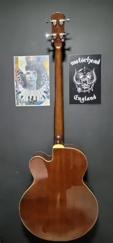 Baixo elétrico acústico benson