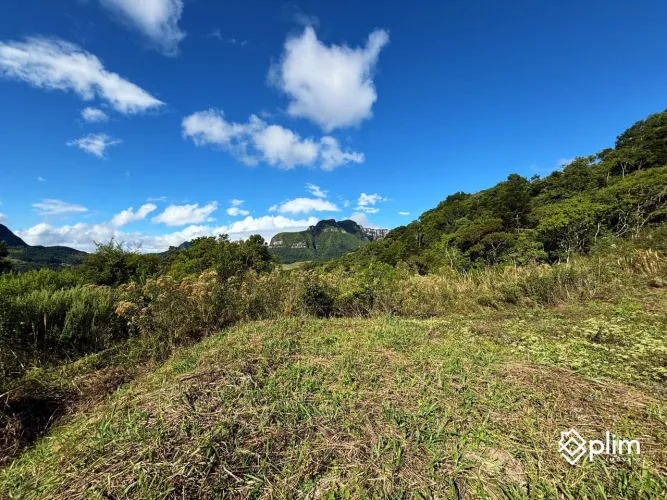 Terreno de 3 Hectares com Vista para a Pedra Branca Alfredo Wagner, SC