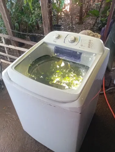 Vendo máquina Electrolux 13 kg em perfeito fucionamento