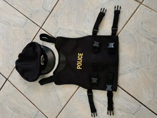 Fantasia infantil policial