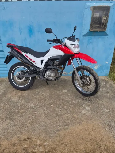 para vende logo