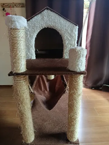 Arranhador de Gatos(as)