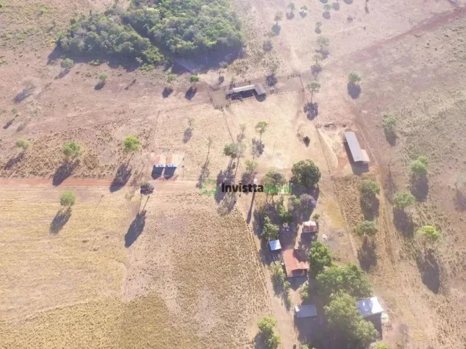 Fazenda de 714 alqueires com relevo 100% plano e logística estratégica no Tocantins