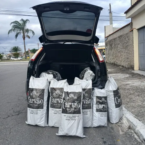 Carvão e Lenha