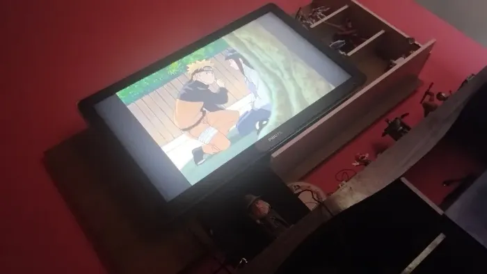 Televisão
