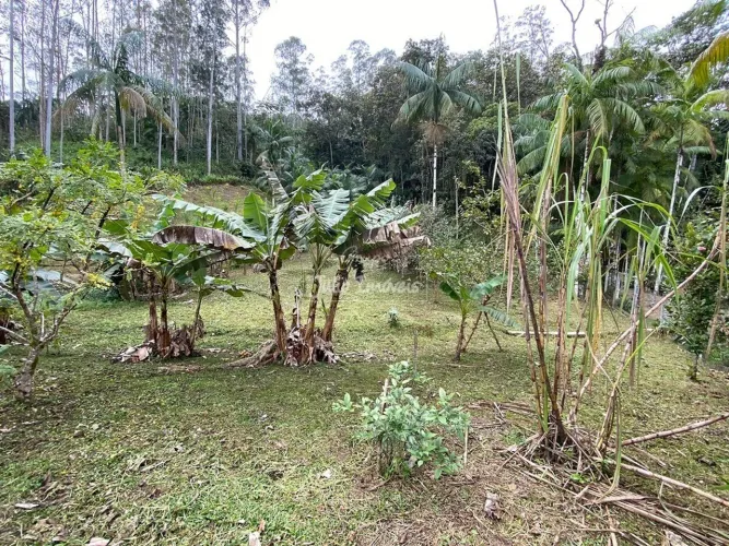 Terreno na Lorena Guabiruba