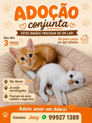 PAÇOCA E ALGODÃO 
